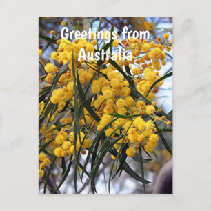 Carte Postale Salutations de l'Australie : Fleurs de bataille ja