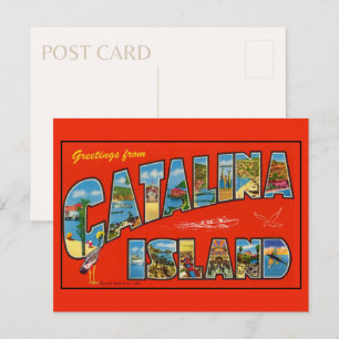 Carte Postale Salutations de l'île de Catalina 1955 Vintage