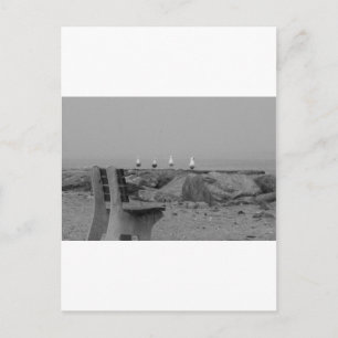 Carte Postale Salutations de Long Island, NY