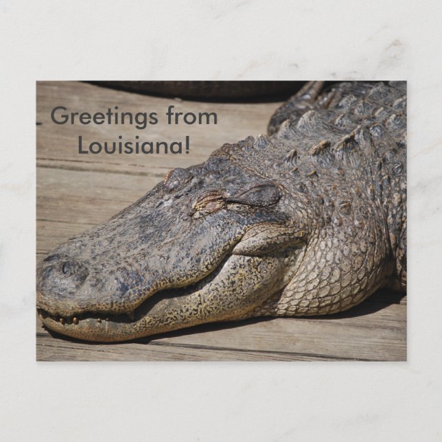 Carte Postale Salutations de Louisiane (Devant)