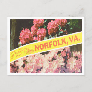 Carte Postale Salutations de Norfolk, Vintage voyage de Virginie