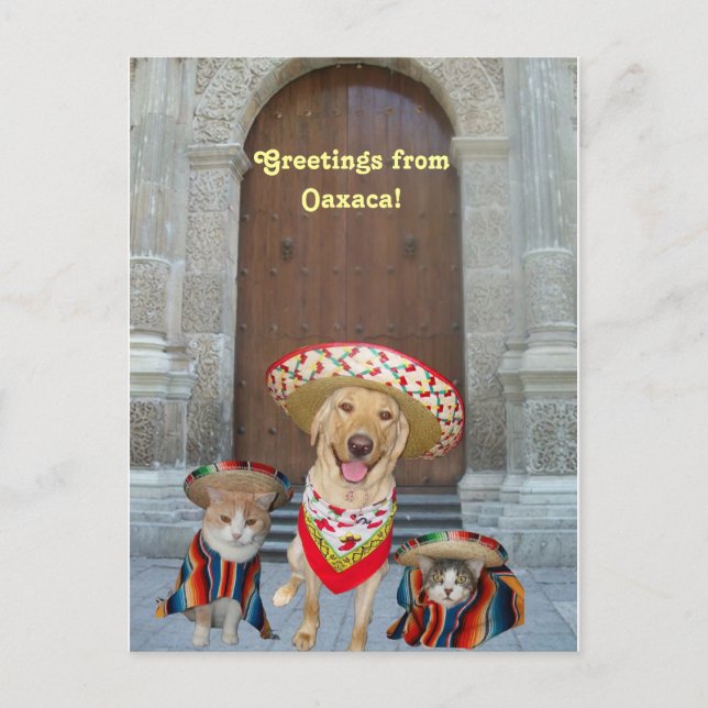 Carte Postale Salutations de Oaxaca (Devant)