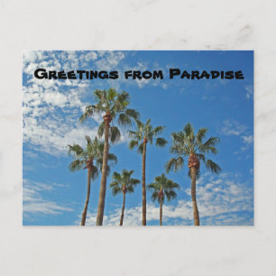 Carte Postale Salutations de Paradise Palm Trees Blue Sky Island