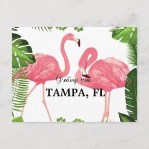 Carte Postale Salutations de Tampa, Floride