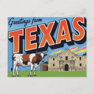 Carte Postale Salutations de vache Longhorn de l'Alamo du Texas