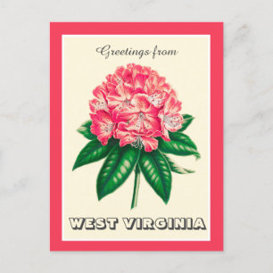 Carte Postale Salutations de West Virginia Rhododendron