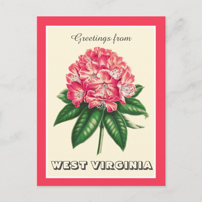 Carte Postale Salutations de West Virginia Rhododendron (Devant)