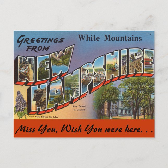 Carte Postale Salutations de White Mountains (Devant)