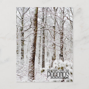 Carte Postale Salutations des Poconos !Bois de Snowy Pocono
