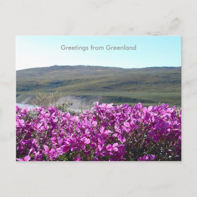 Carte Postale Salutations du Groenland 10 (Devant)