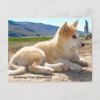 Carte Postale Salutations du Groenland 12