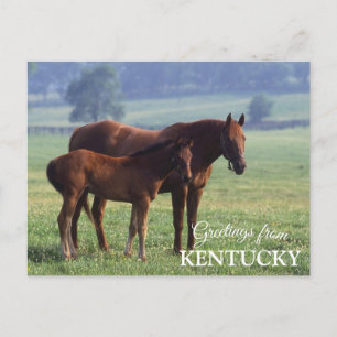 Carte Postale salutations du Kentucky
