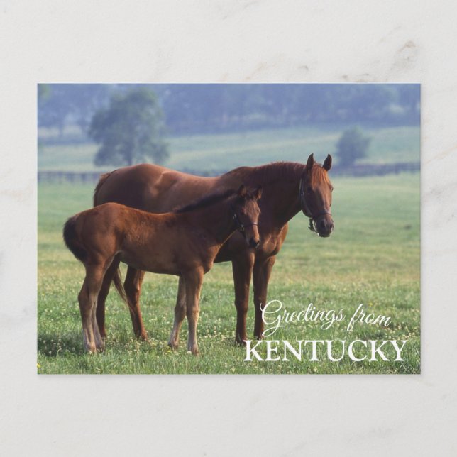 Carte Postale salutations du Kentucky (Devant)