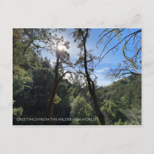 CARTE POSTALE SALUTATIONS DU MONDE DE LA SAUVAGE !