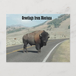 Carte Postale Salutations du Montana