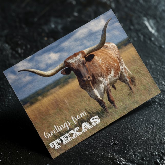 Carte Postale Salutations du taureau Texas Longhorn (Créateur téléchargé)