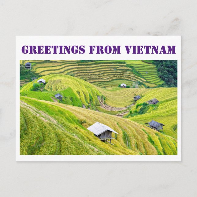 Carte Postale Salutations du Vietnam (Devant)