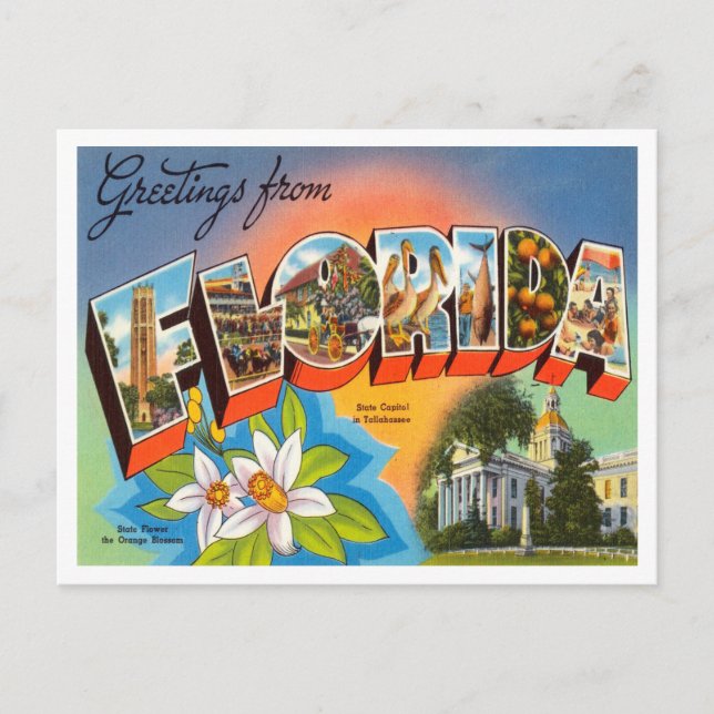 Carte Postale Salutations du Vintage voyage de Floride (Devant)