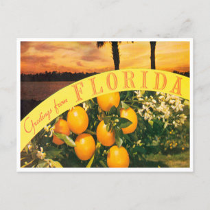 Carte Postale Salutations du Vintage voyage Florida Oranges
