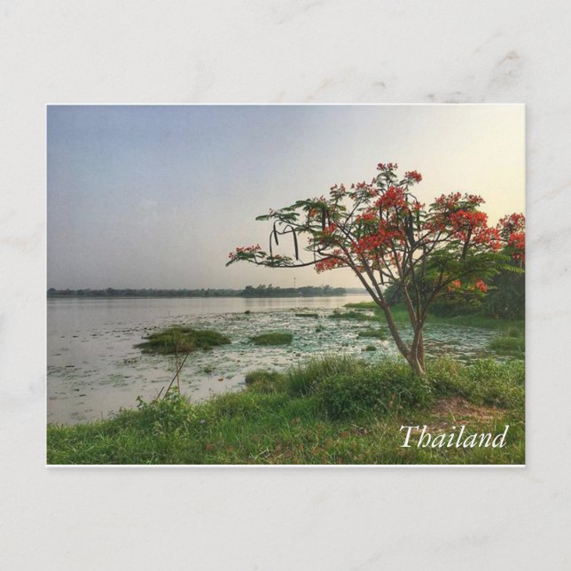 Carte Postale Salutations en Thaïlande (Devant)