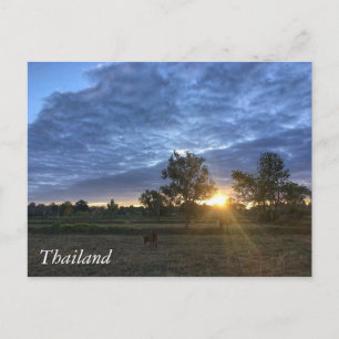 Carte Postale Salutations en Thaïlande