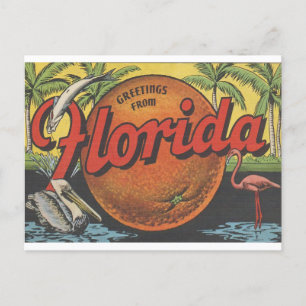 Carte Postale Salutations vintages de Floride avec orange