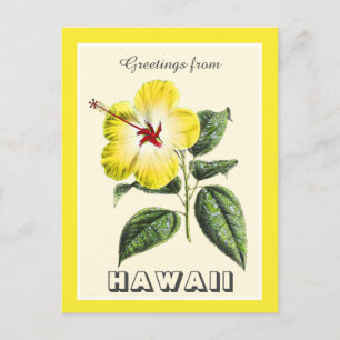 Carte Postale Salutations vintages de Hawaii Hibiscus Jaune