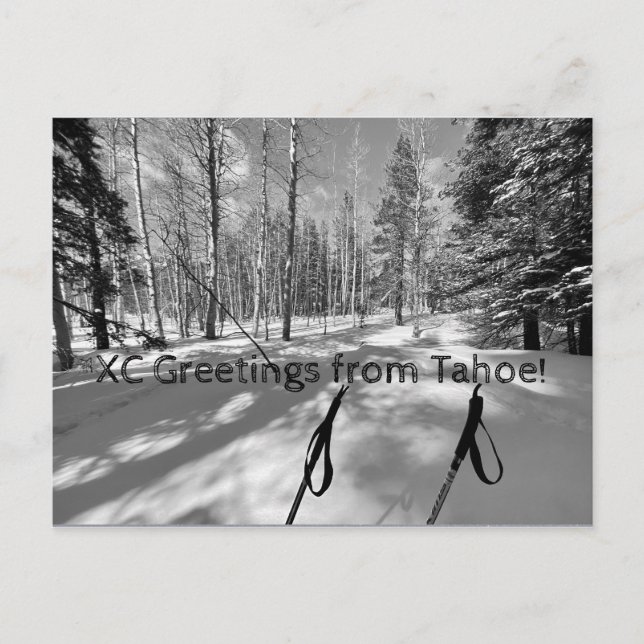 Carte Postale Salutations XC de Tahoe ! (Devant)