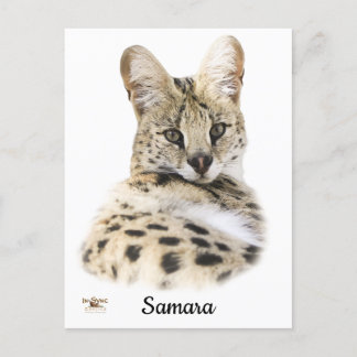 Carte Postale Samara douce