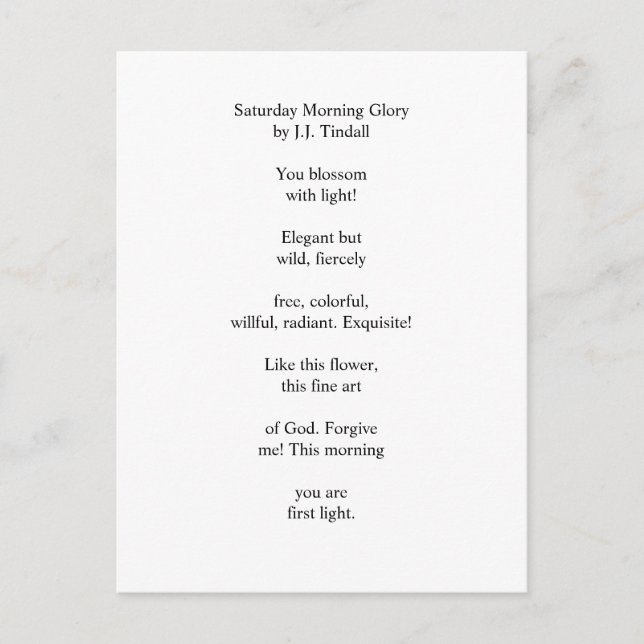 Carte Postale Samedi matin gloire (Devant)