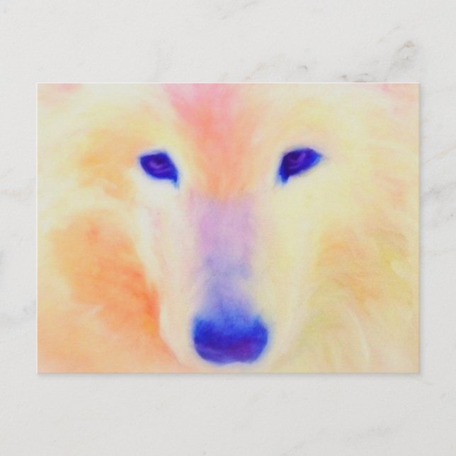 Carte postale Samoyed (Devant)