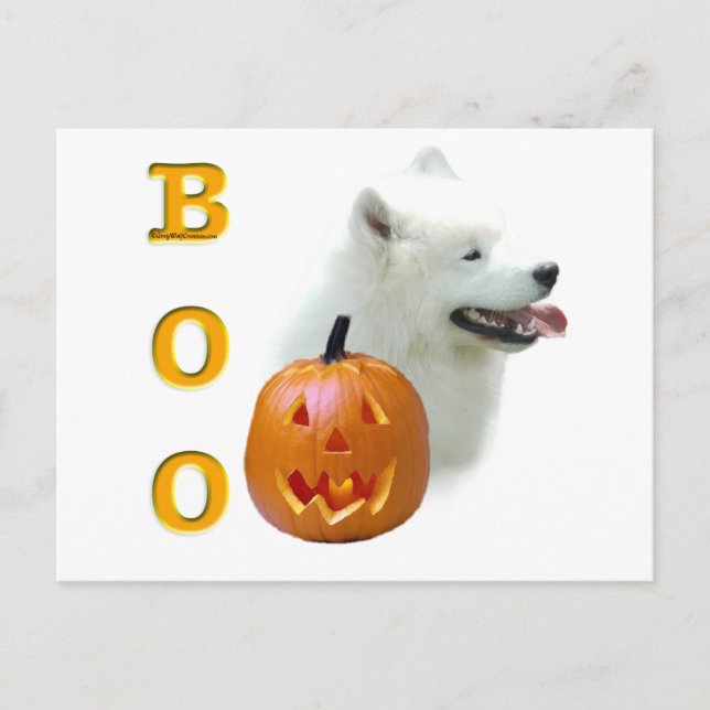 Carte Postale Samoyed Boo (Devant)