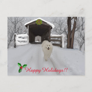 Carte postale Samoyed "Happy Holidays"