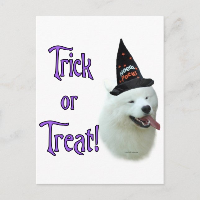 Carte Postale Samoyed Trick (Devant)