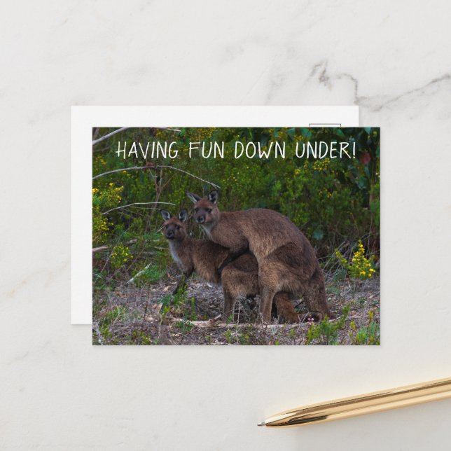 Carte Postale S'Amuser Sous Kangaroo Australie (Devant/Arrière en situation)