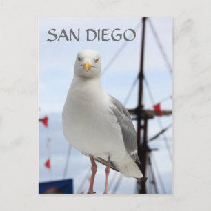 Carte postale San Diego, Seagull et Bateau