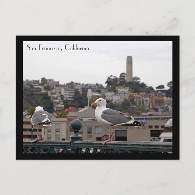 Carte postale San Francisco (Devant)