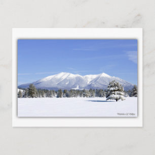 Carte Postale San Francisco Pics En Neige
