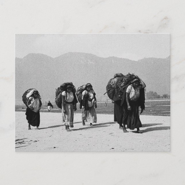 Carte Postale San Juan Chamula, Chiapas, Mexique (Devant)