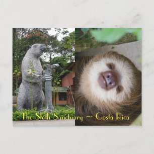 Carte Postale Sanctuaire Sloth