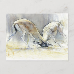 Carte Postale Sand Gazelles 2009 4