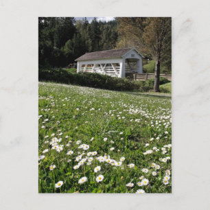 Carte Postale Sandy Cr. Pont couvert