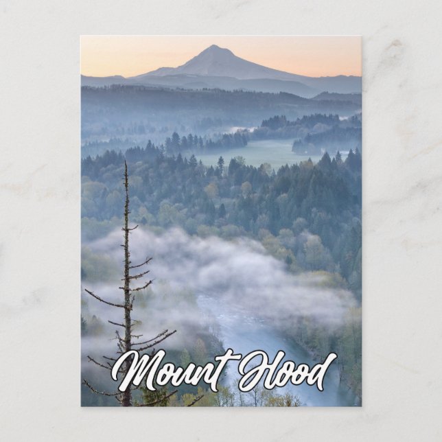 Carte Postale Sandy River And Mount Hood, Oregon, États-Unis (Devant)