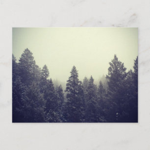 Carte Postale Sans titre III