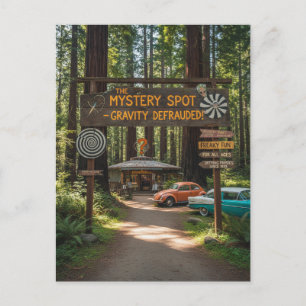 Carte Postale Santa Cruz Californie Le Mystery Spot