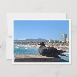 Carte Postale Santa Monica, Californie