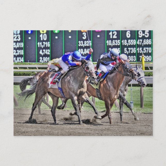 Carte Postale Saratoga Horse Racing (Devant)