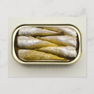 Carte Postale Sardines en conserve