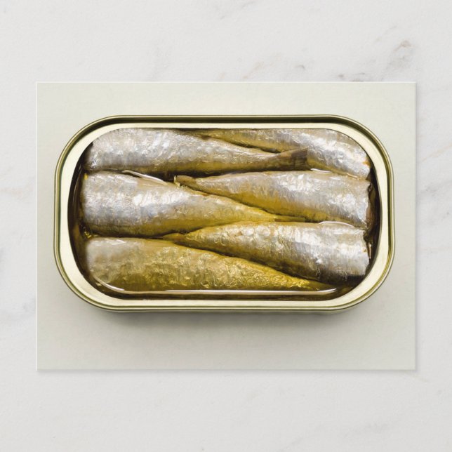 Carte Postale Sardines en conserve (Devant)