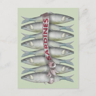Carte Postale Sardines fraîches
